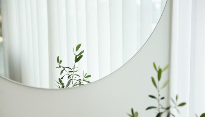 circular mirror with plant reflection